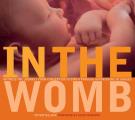 In the Womb Witness the Journey from Conception to Birth Through Astonishing 3D Images