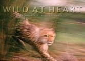 Wild at Heart Man & Beast in Southern Africa