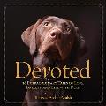 Devoted 38 Extraordinary Tales of Love Loyalty & Life with Dogs