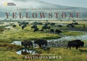Yellowstone A Journey Through Americas Wild Heart