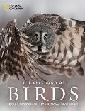 Splendor of Birds Art & Photographs From National Geographic
