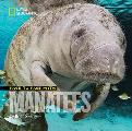 Face To Face With Manatees