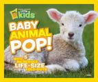 Baby Animal Pop With 5 Incredible Life Size Fold Outs