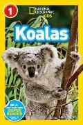 National Geographic Readers Koalas