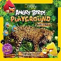 Angry Birds Playground Rain Forest A Forest Floor to Treetop Adventure