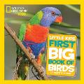 National Geographic Little Kids First Big Book of Birds