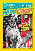 Hero Dogs True Stories Of Amazing Animal Heros National Geographic Kids Chapters