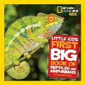Little Kids First Big Book of Reptiles & Amphibians