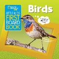 Little Kids First Board Book Birds