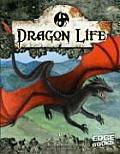 Dragon Life