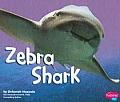 Zebra Shark