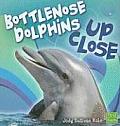 Bottlenose Dolphins Up Close
