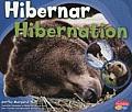 Hibernar Hibernation