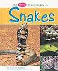 Pebble First Guide To Snakes