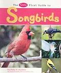 Pebble First Guide To Songbirds
