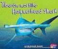 Tiburon Martillo/Hammerhead Shark
