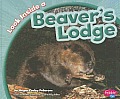 Look Inside a Beaver's Lodge