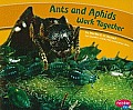 Ants & Aphids Work Together