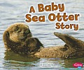 Baby Sea Otter Story