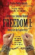 Deliverance Solution Wisdom - Freedom I: How to Set the Captive Free - Practical Steps and Utterances for Breaking Through the Camp of the Enemy to Re