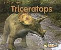 Triceratops Dinosaurios