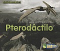 Pterodactilo Pterodactyl