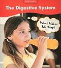 Digestive System What Makes Me Burp