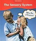 Sensory System Why Am I Ticklish