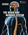 Brain & Nervous System Human Machine