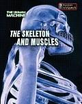 Skeleton & Muscles Human Machine