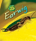 Bug Books #2: Earwig