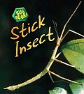 Bug Books Stick Insect 2nd Edition