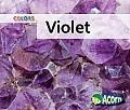 Violet Colors
