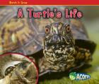 Turtles Life