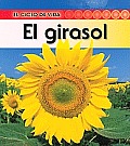El Girasol = Sunflower