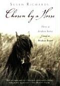 Chosen by a Horse: How a Broken Horse Fixed a Broken Heart