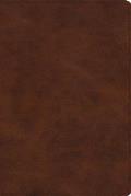 ESV Story of Redemption Bible Trutone Brown