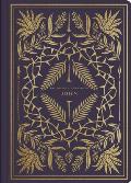 John Illuminated Scripture Journal ESV