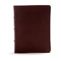 CSB Study Bible, Brown Genuine Leather, Indexed: Red Letter, Study Notes and Commentary, Illustrations, Ribbon Marker, Sewn Binding, Easy-To-Read Bibl