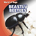 Beastly Beetles