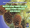 Watch Pine Trees Grow / ?Mira C?mo Crecen Los Pinos!