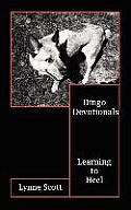 Dingo Devotionals: Learning to Heel