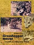 Grasshopper Mouse: Evolution of a Carnivorous Life Style