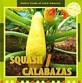 Squash / Calabazas