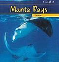 Manta Rays