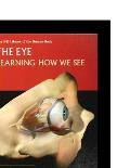 The Eye: Learning How to See