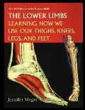 The Lower Limbs: Learning How We Use Our Thighs, Knees, Legs, and Feet