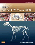 Millers Anatomy Of The Dog