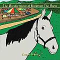 The Misadventures of Mallomar the Horse