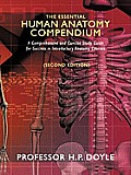 The Essential Human Anatomy Compendium: A Comprehensive and Concise Study Guide for Success in Introductory Anatomy Courses
